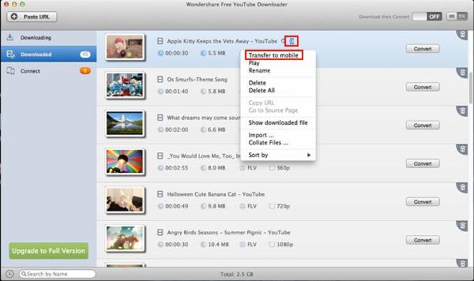 Download Video From Web Page Mac